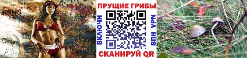 купить  сайты  Спасск-Дальний  Галлюциногенные грибы Cubensis 